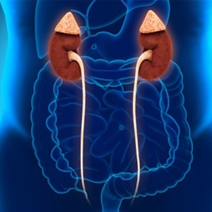 Uro-oncologia